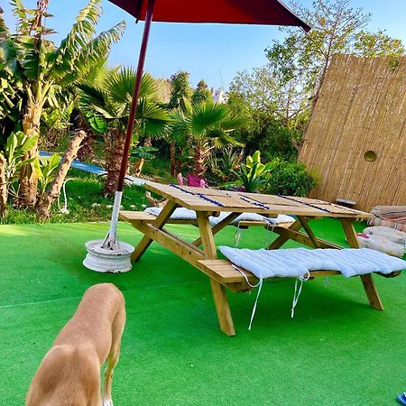 Bed and Breakfast Surf & Salsa Ocean House Tamraght Экстерьер фото