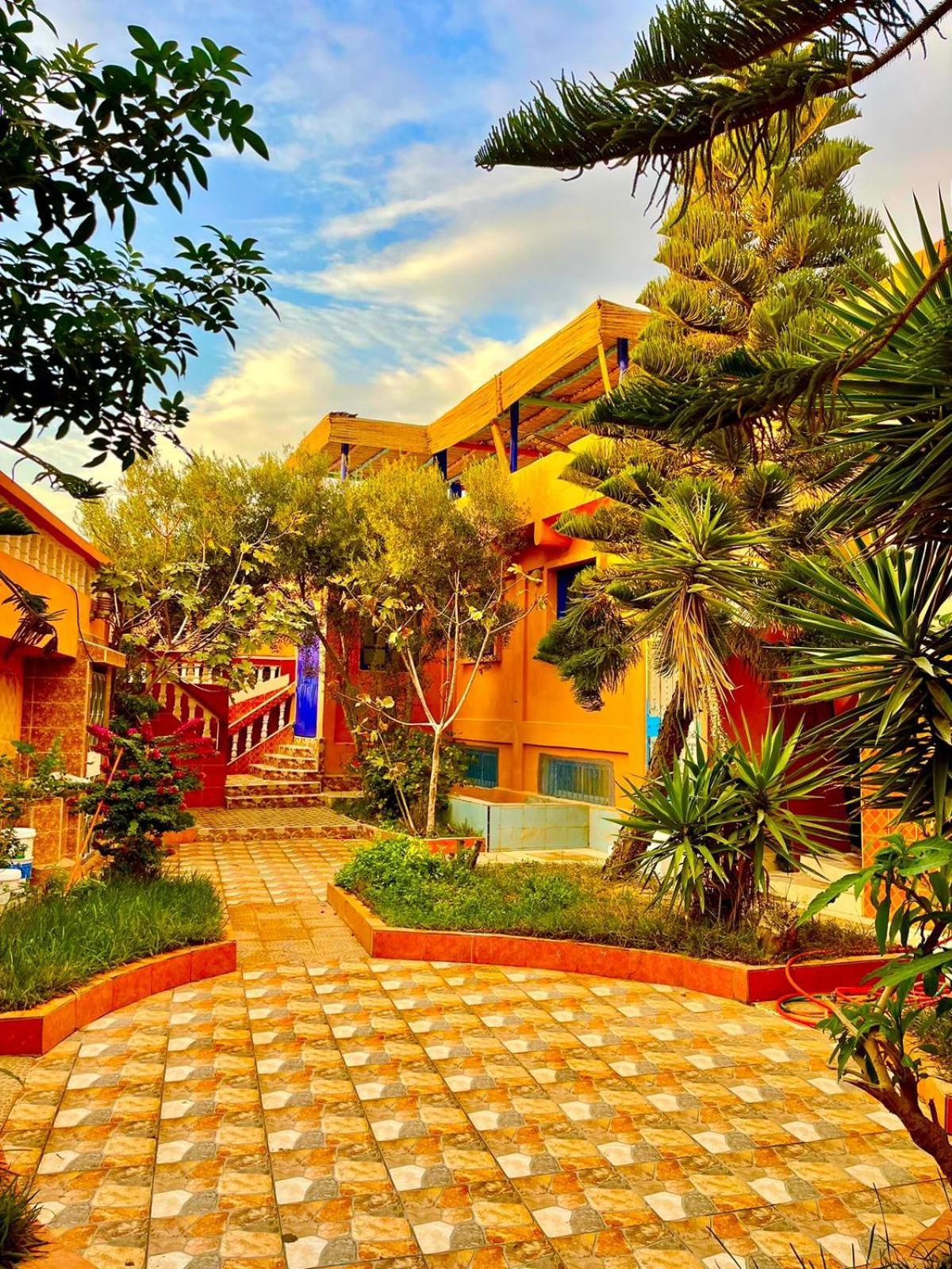 Bed and Breakfast Surf & Salsa Ocean House Tamraght Экстерьер фото